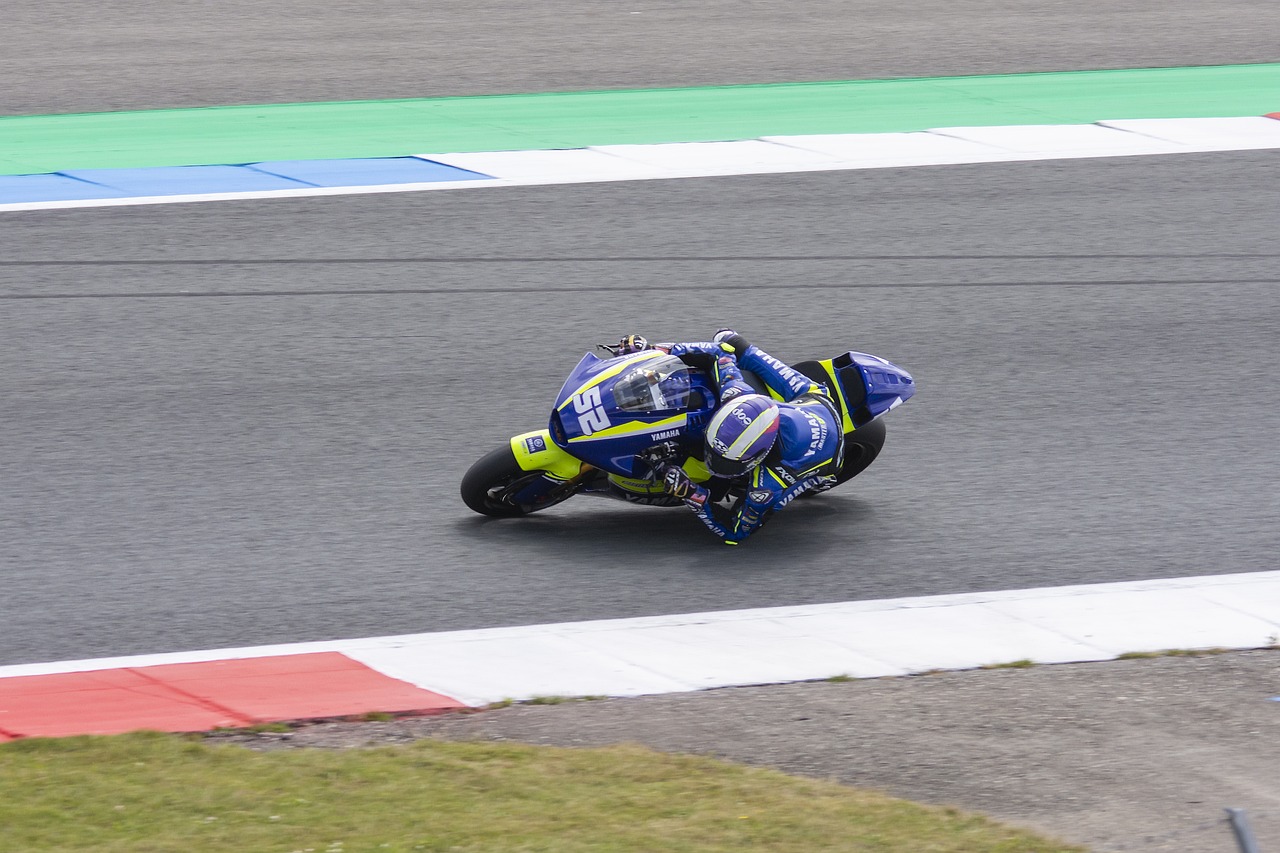 过去一周忙 过去一周忙