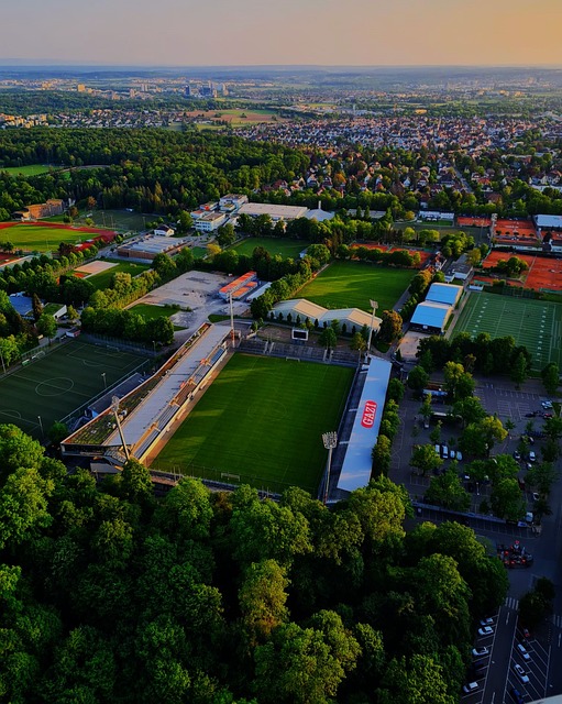 向以稳健的 向以稳健的