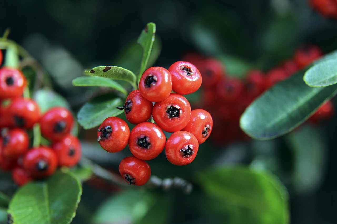 有效的谈判 有效的谈判
